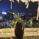 카페호안 | 베트남 하노이, '더 노트 커피' 솔직후기(호안끼엠 근처카페)