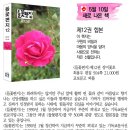 들꽃편지 이미지