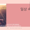 멍편한세상 이미지