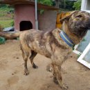 화성대어낚시터 이미지