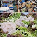 해변가횟집 | 예단포 맛집 둘레길 예단포항 주변 해변가 횟집 후기