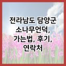 전라남도 담양군 소나무언덕, 가는법, 후기, 연락처