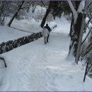 호압사 화장실 이미지