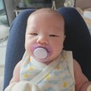놀소프트 | 필립스아벤트 국민쪽쪽이 울트라 소프트 2P 후기｜신생아 공갈젖꼭지 추천 🍼