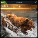 비스트티어 이미지