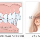 현치과교정과치과의원 이미지