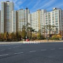 책향기교차로(2) 이미지