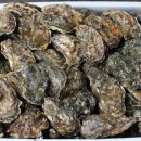 통영굴찜 이미지