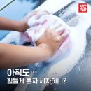 세차의정석 이미지