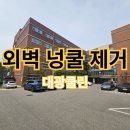 담쟁이 | 외벽 담쟁이넝쿨 제거 후기 전문 업체가 있습니다.