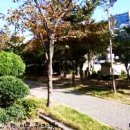 주례여자중학교 이미지