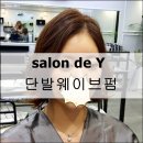 살롱드와이 이미지