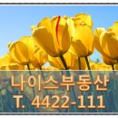 고덕나이스공인중개사사무소 이미지