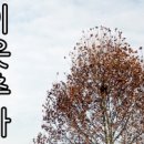 창현반점