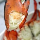 신화수산 이미지