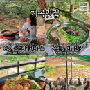 여름계곡맛집 │ 하트시그널 후신 X 지민 백숙집인 북한산 청솔집에서 오리로스 먹은 후기🤍