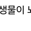 농업회사법인 주식회사 정봉벌꿀 Daum카페