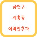 금천구 시흥동 이비인후과 리스트