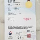예끌리나