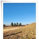 용루 | 신라 왕궁 안에 설치되었던 내불당인 천주사지(天柱寺址)