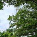 신흥사 약수터 이미지