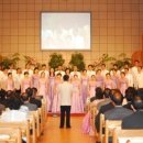 솔리데오 이미지