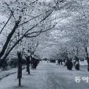 박윤석 이미지