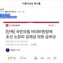 폐족친윤 아닌점 강점 이미지