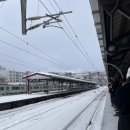 [삿포로] 오타루 삼각시장 카이센동 아지도코로 타케다 후기(나는 굳이..)