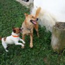 멍구멍구 이미지