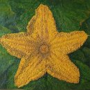 보성레미콘㈜ 이미지