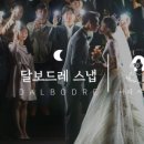 [본식스냅]대전 청주 천안 달보드레스냅 예약 후기