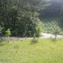 벗길민박 이미지