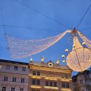 눈으로 먹고 즐기는 이탈리아 오페라 여행 | 아기랑 동유럽 여행 #7. 비엔나 화덕피자 맛집 "Lil' Italy", 국립 오페라 극장 오페라 관람, 빈 야경...