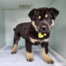 광주TNR동물병원(초월) 이미지