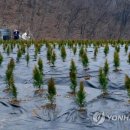 윤종석농장 이미지