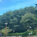 별빛야영장 | 울산캠핑장 통나무집 작천정별빛야영장 캐빈하우스 후기
