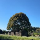 서광리-12 이미지