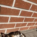 한키리