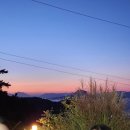 지후네뽑기방 | 20대 2달 남음,,,