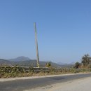 천태산로 이미지