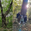 종로-현장-종로-세-203 이미지