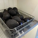상무지구 포케맛집 샐러드바스켓 다녀온 후기 ft. 광주 다이어트 맛집