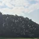 화산 | 단풍 따라 떠난 가을 라운드, 용인화산CC 후기와 코스 분위기