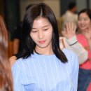 보호본능