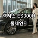 남성주유소 | "주유소 가는 길을 까먹었습니다" 렉서스 ES300h 실연비 24km 와 2026 풀체인지