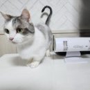 펫이좋아 이미지