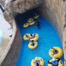 용인대골드태권도장 이미지