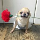 모퉁이옷장달라 | 우리는 누군가의 청춘을 응원해 본 적이 있어서 알잖아.