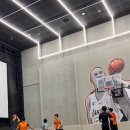 코알라패밀리 이미지